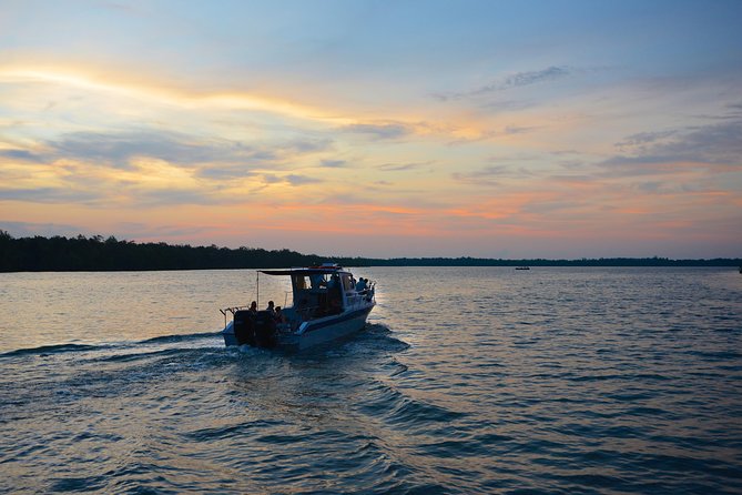Shared Mangrove & Irrawaddy Dolphin Watching Cruise - Key points at a glance