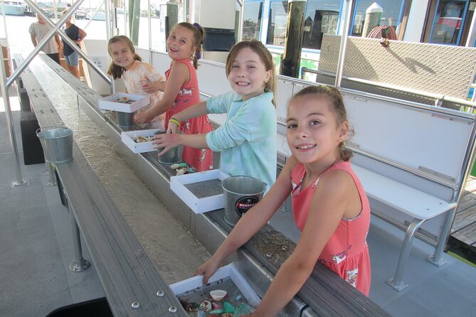 Shark Teeth and Shells, Dolphin and Shelling Tour Boat Clearwater Beach - Sifting sand for shells and shark teeth