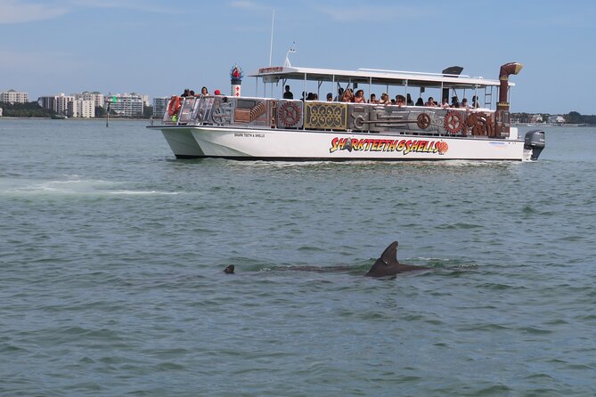 Shark Teeth and Shells, Dolphin and Shelling Tour Boat Clearwater Beach - What the $28 price really buys