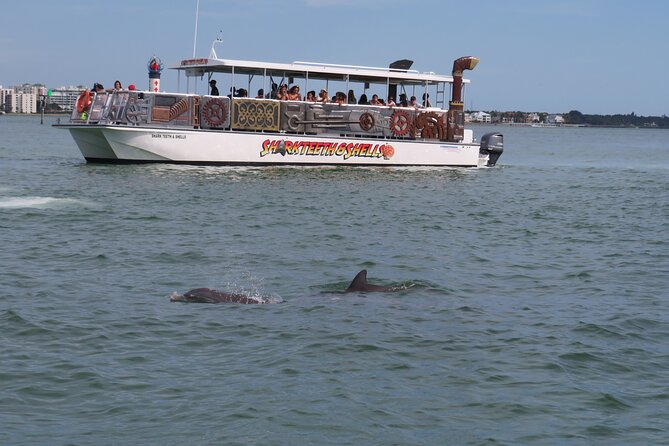 Shark Teeth and Shells, Dolphin and Shelling Tour Boat Clearwater Beach - Service, crew, and the small details