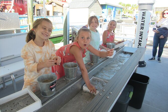Shark Teeth and Shells, Dolphin and Shelling Tour Boat Clearwater Beach - Booking, weather, and cancellation rules
