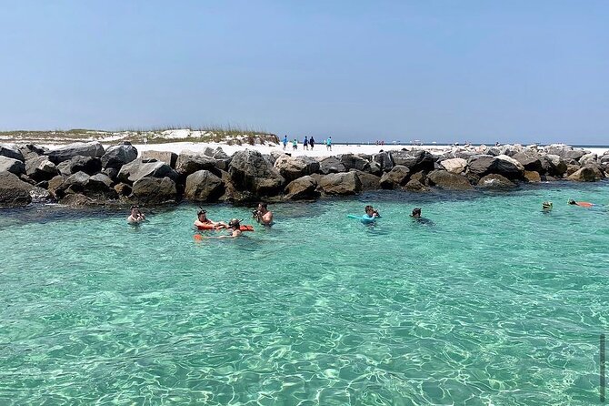 Shell Island Dolphin and Snorkel Boat Tour - Key points to know before you go