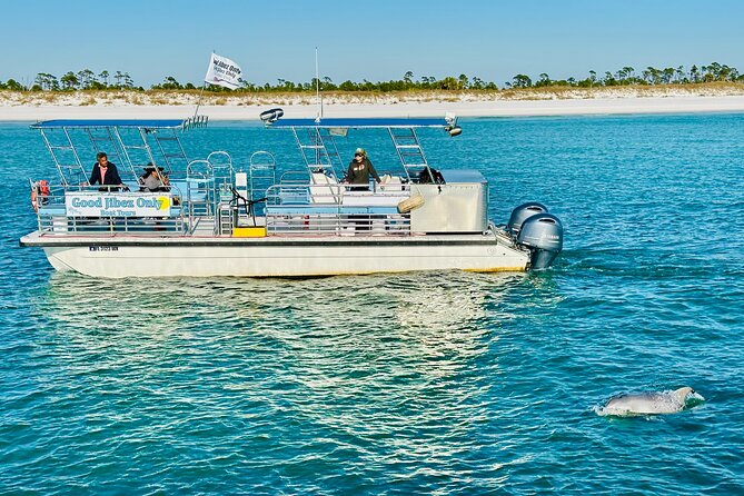 Shell Island Dolphin Sightseeing Boat Tour in Panama City Beach - Why the small boat matters
