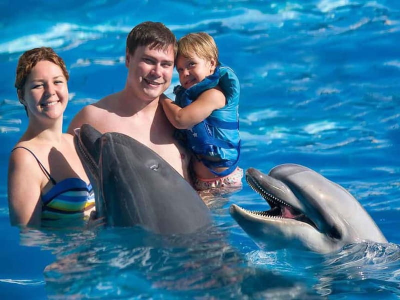 Side/Alanya: Swimming with Dolphins and Dolphin Show - Transfers are useful, but not always worth paying for