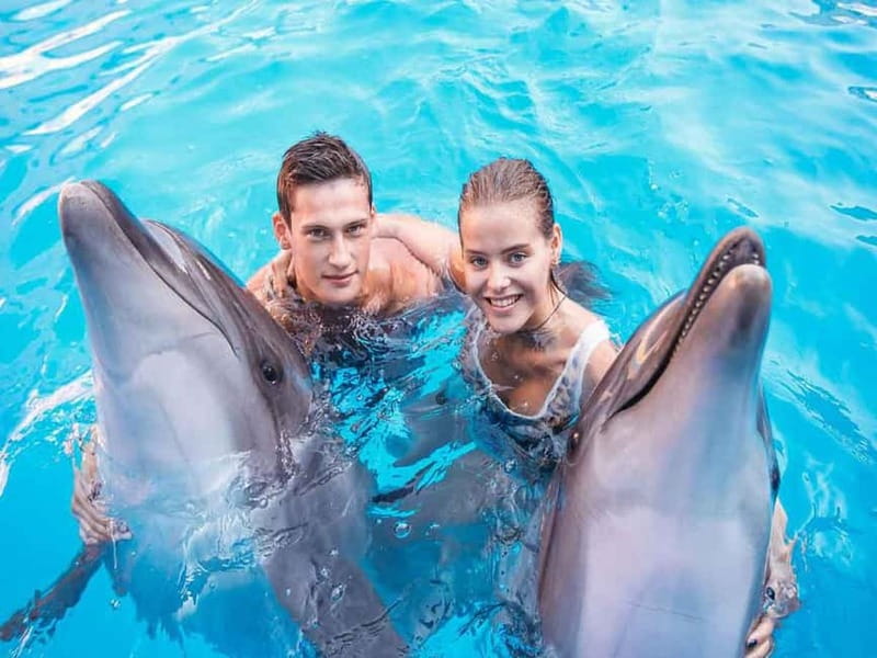 Side/Alanya: Swimming with Dolphins and Dolphin Show - Who will enjoy this experience most