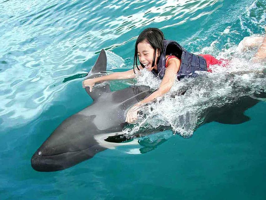 Side/Alanya: Swimming with Dolphins and Dolphin Show - What to bring and what to leave behind
