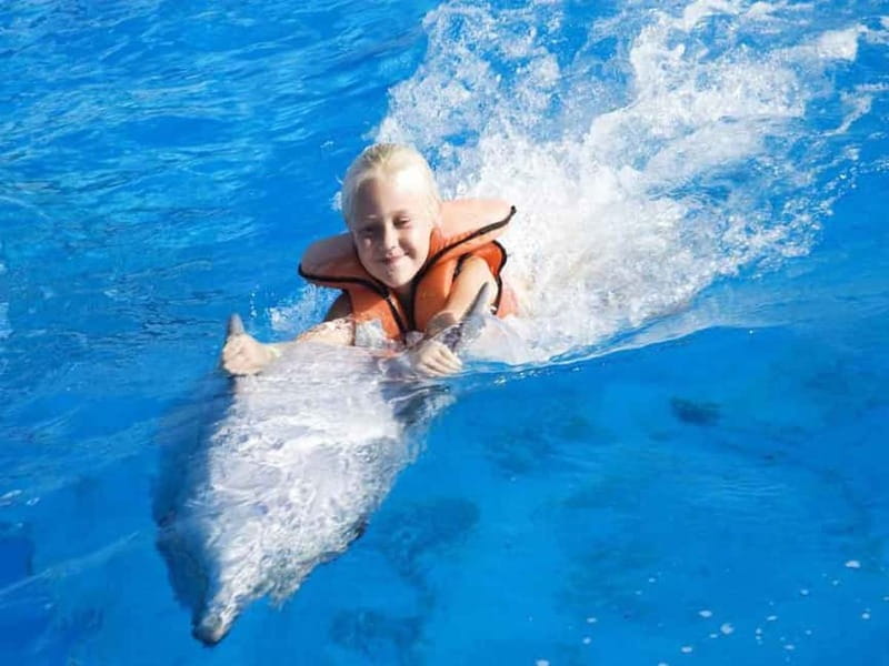 Side/Alanya: Swimming with Dolphins and Dolphin Show - What happens during the dolphin swim