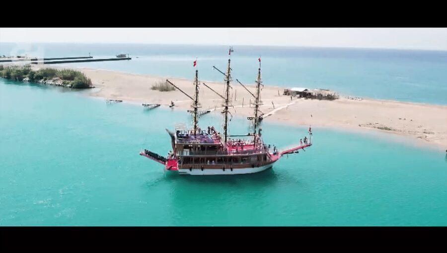Side: Dolphin Island Boat Tour : A Seaside Adventure - Who will enjoy this boat day
