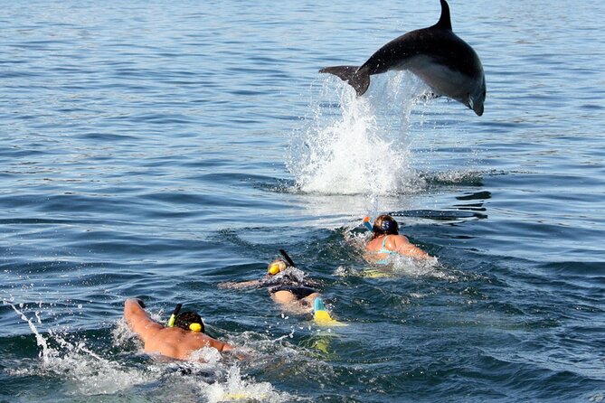 Side Dolphin Island Boat Trip With Lunch And Soft Drinks - Lunch on board: simple and useful