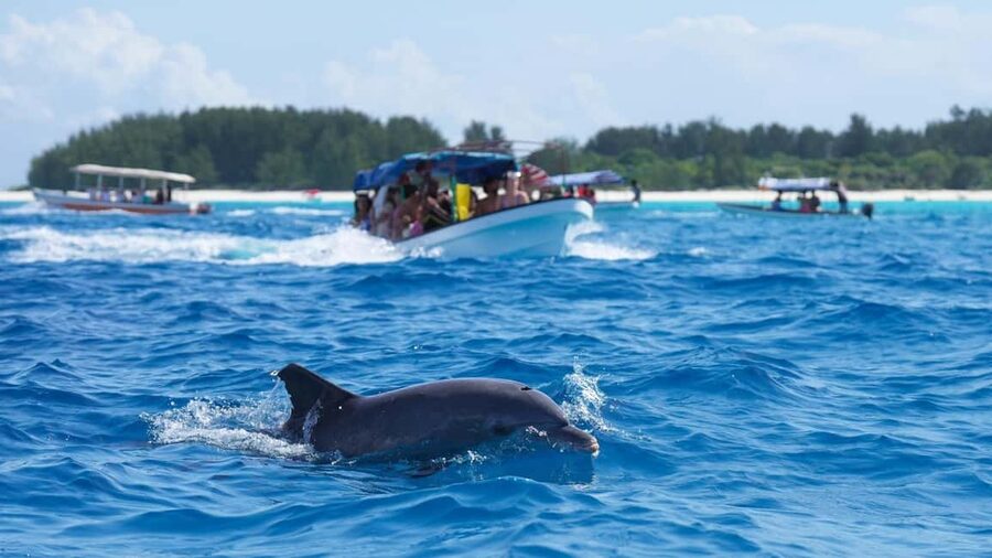 Side Dolphin Island Boat Trip with Lunch & Swim Stops - Views of Manavgat and the Mediterranean coast