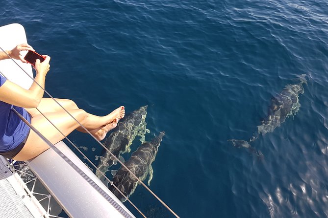 Sighting Dolphin Trip Estepona, Marbella - Heading Offshore in Search of Dolphins