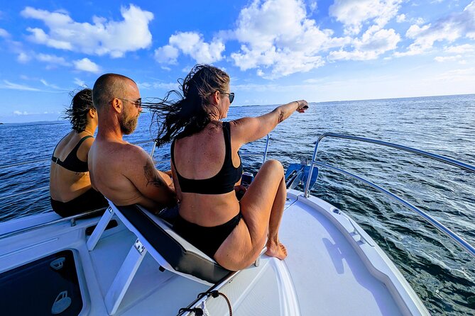 Six Fins Private Dolphin Safari – Dolphin Watching in Key West - Who will get the most from this charter