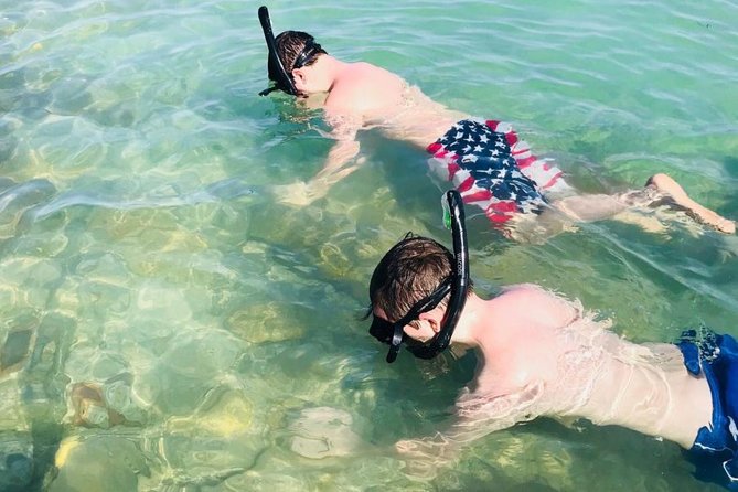 Small Group 2 Hour Dolphin Cruise with Snorkeling to Shell Key - Watching for dolphins in Boca Ciega Bay