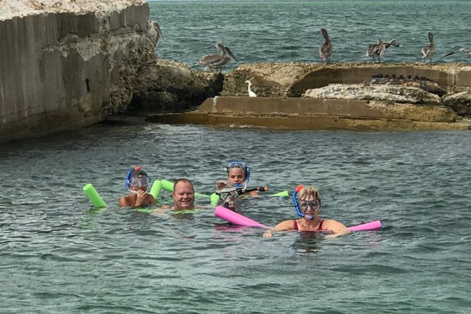 Small Group 2 Hour Dolphin Cruise with Snorkeling to Shell Key - How the two-hour schedule really feels