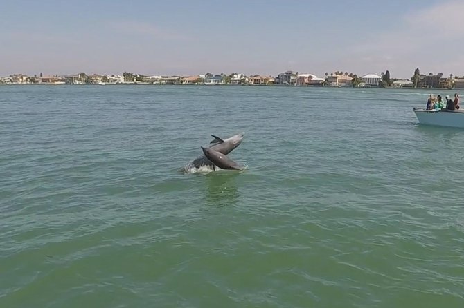 Small Group 2 Hour Dolphin Cruise with Snorkeling to Shell Key - The captains make the difference