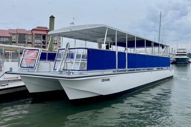 Small Group - 6 Passengers - Morning Dolphin and Donut Cruise - Pinkney Island and the island waterways
