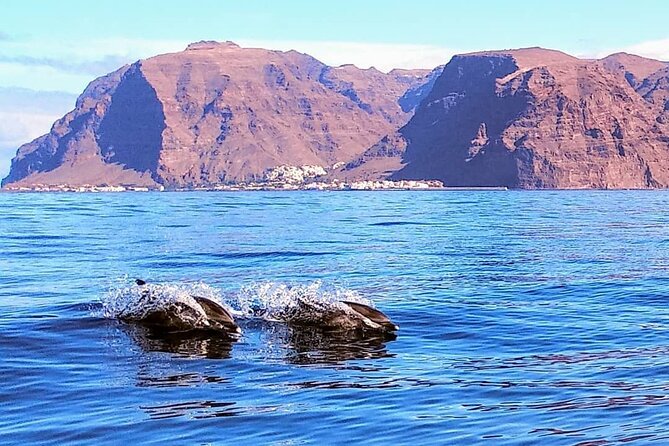Small Group Boat Whale and Dolphin Watching Tour - A picnic with a local, unfussy feel