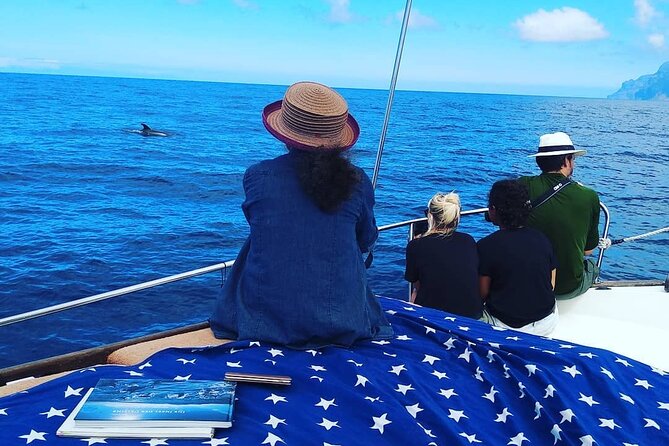 Small Group Boat Whale and Dolphin Watching Tour - Las Salinas beach for swimming and snorkeling