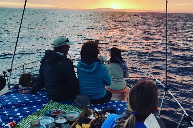 Small Group Boat Whale and Dolphin Watching Tour - Returning along the coast to Valle Gran Rey