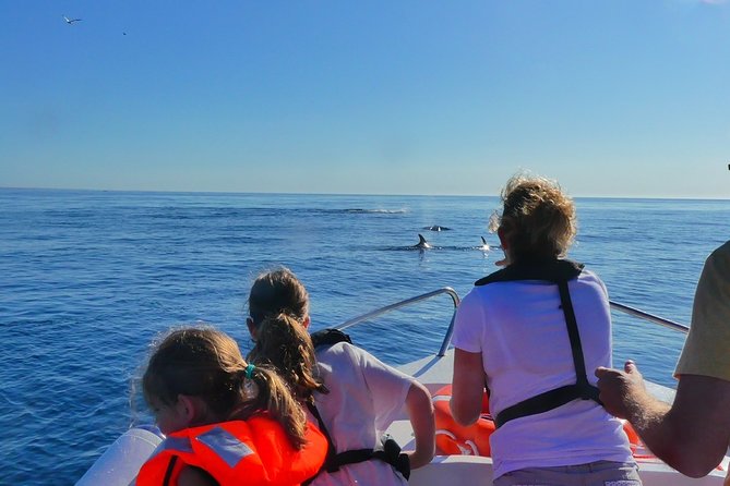 Small Group Dolphin and Wildlife Watching Tour in Faro - Searching for dolphins in open water