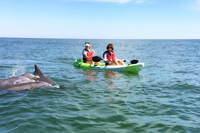 Small Group Dolphin Kayak Eco-Tour - Key points to know before you book