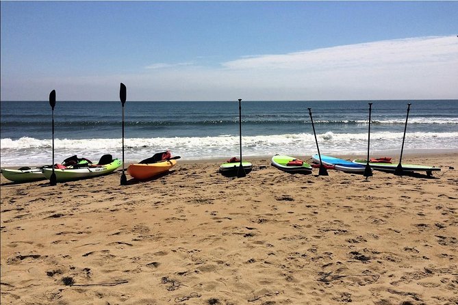 Small Group Dolphin Kayak Eco-Tour - Why this Virginia Beach kayak trip is worth your time