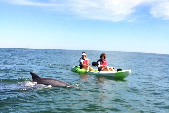 Small Group Dolphin Kayak Eco-Tour - Turning near the lighthouses and paddling back