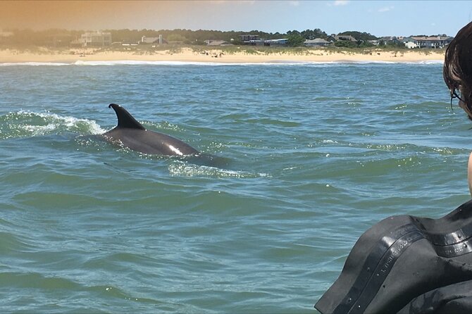 Small Group Dolphin Kayak Eco-Tour - Who will enjoy this most