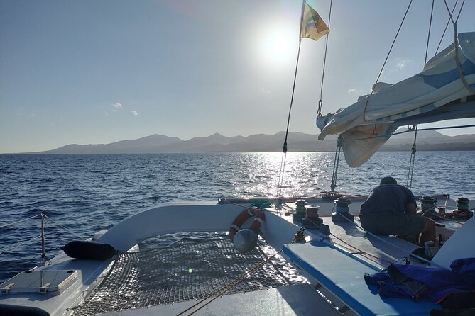 Small Group Dolphin Sunset Tour on Electric Catamaran Lanzarote - The electric catamaran makes the search calmer