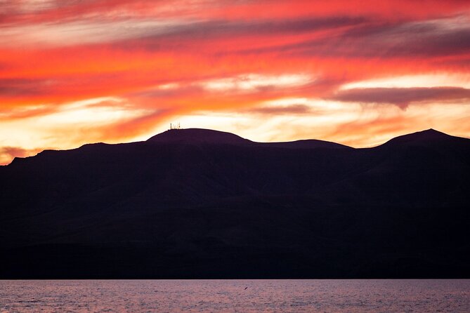 Small Group Dolphin Sunset Tour on Electric Catamaran Lanzarote - Wildlife ethics matter here