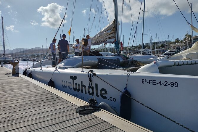 Small Group Dolphin Sunset Tour on Electric Catamaran Lanzarote - Families, couples, and first-time boat riders