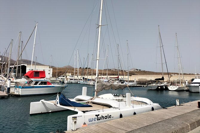 Small Group Dolphin Sunset Tour on Electric Catamaran Lanzarote - Weather, comfort, and practical planning