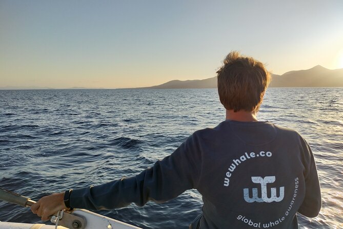 Small Group Dolphin Sunset Tour on Electric Catamaran Lanzarote - What the sunset adds to the experience