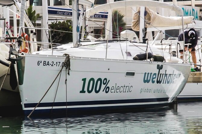 Small Group Dolphin Sunset Tour on Electric Sailing Boat Denia - Raoul, his partner, and the personal scale of the trip