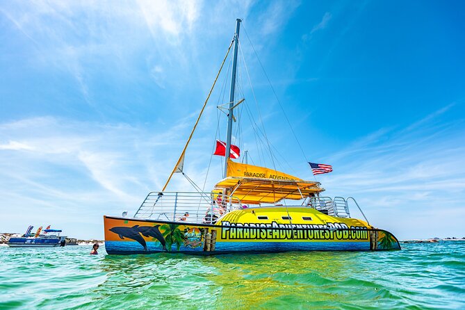 Snorkel & Dolphin Sightseeing Tour Aboard the Footloose - What snorkeling at Shell Island is really like