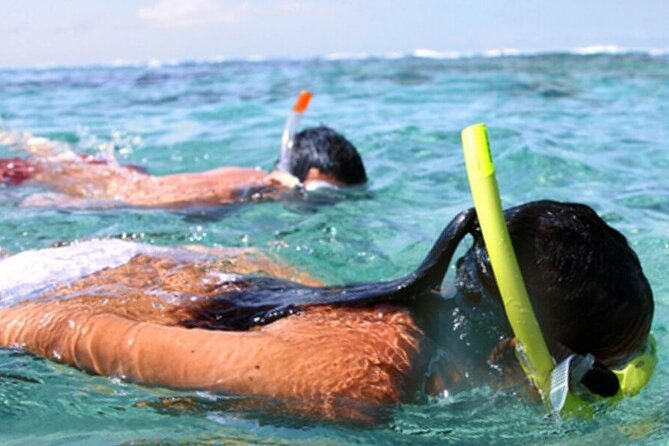 Snorkel & Dolphin Sightseeing Tour Aboard the Footloose - Is $50 a fair price?