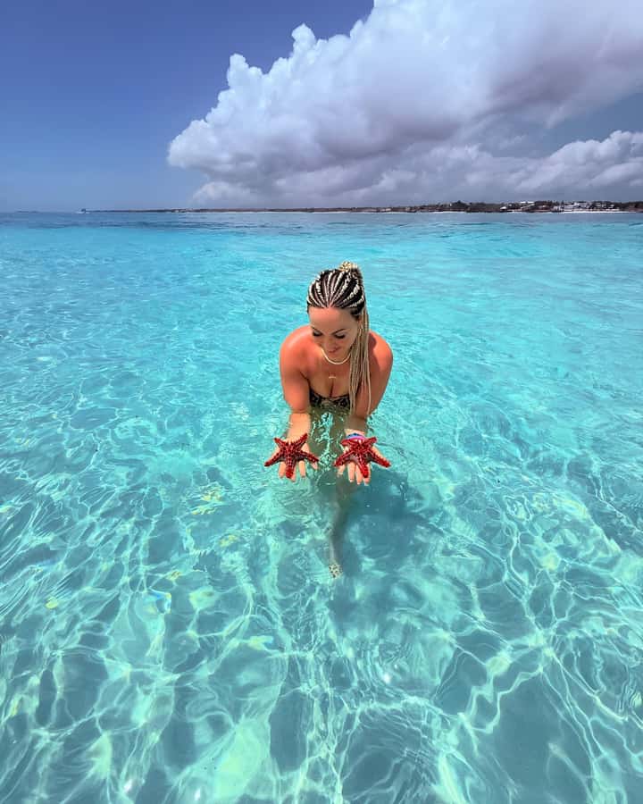 Snorkel Mnemba’s Reefs & Swim with Dolphins Adventure - What the $40 Mnemba trip really includes