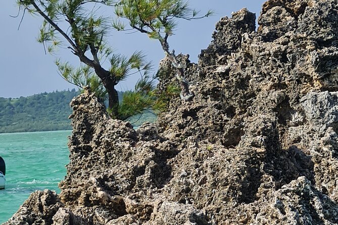 Snorkel with Dolphins, Lunch on Benitiers island, Speedboat - The mountain views and Mauritius context