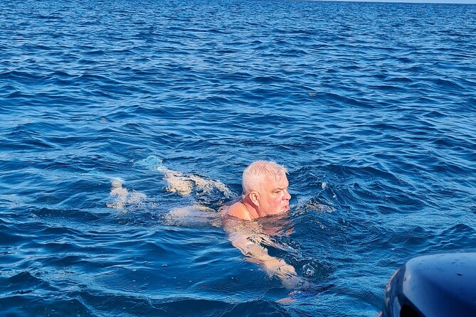 Snorkel with Dolphins, Lunch on Benitiers island, Speedboat - Practical details that make the day easier