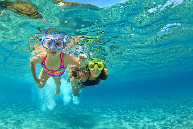 Snorkeling and Dolphin Watching Experience in Destin - A Three-Hour Cruise from Fort Walton Beach