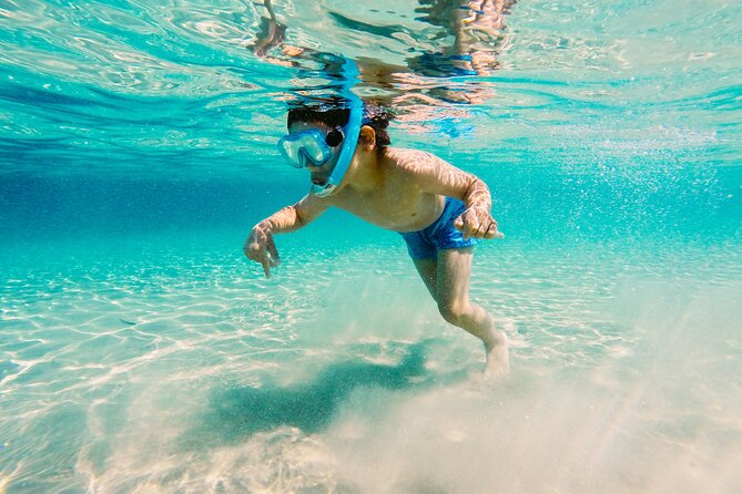 Snorkeling and Dolphin Watching Experience in Destin - Shallow-Water Snorkeling for First-Timers