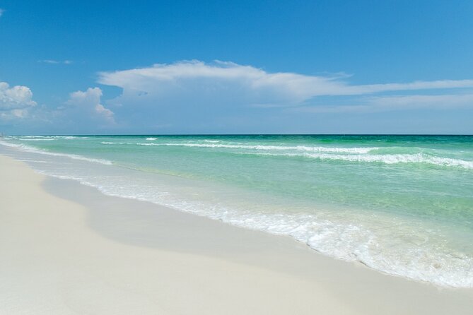 Snorkeling and Dolphin Watching Experience in Destin - The Crew Makes a Big Difference