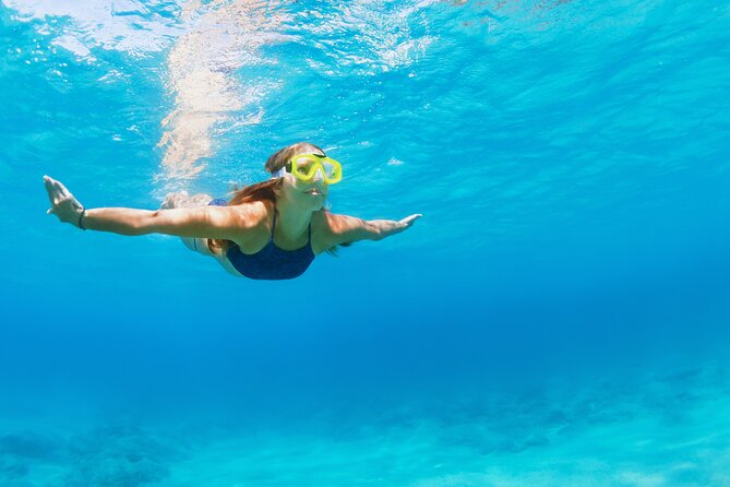 Snorkeling and Dolphin Watching Experience in Destin - Who Will Enjoy This Most?
