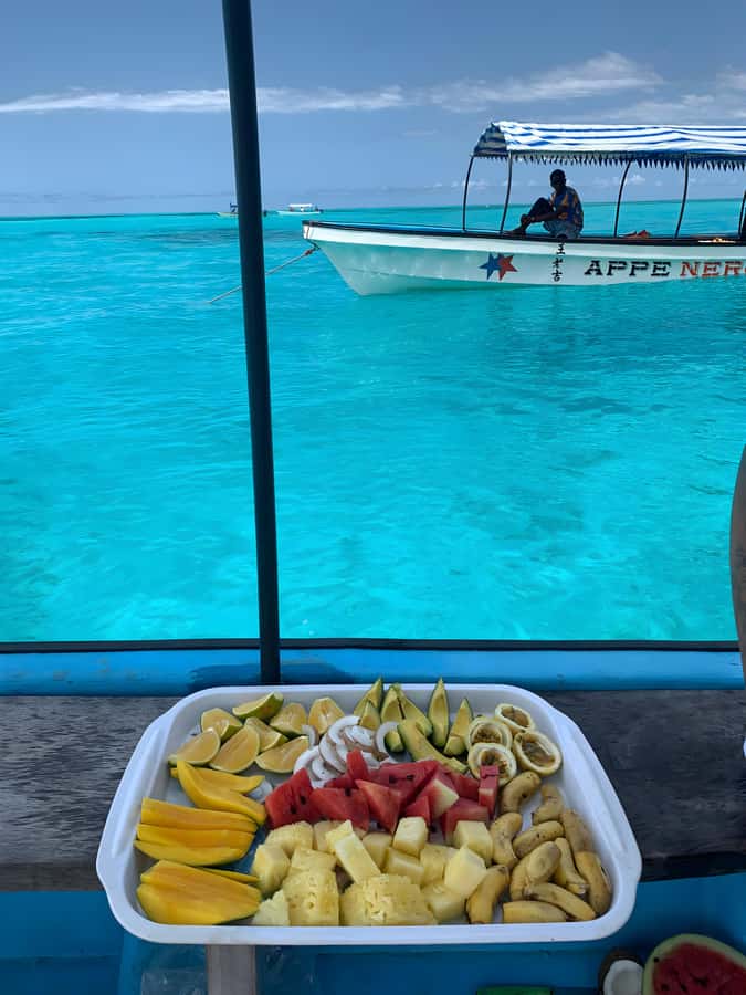 Snorkeling and swimming with dolphins in mnemba island - Crowds, timing, and the feel of the day