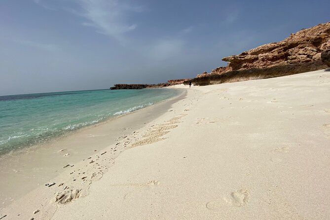 Snorkeling at Dimaniyat Islands and Dolphin Watching - Turtles, sharks, dolphins, and whale sharks