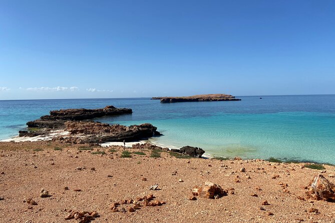 Snorkeling at Dimaniyat Islands and Dolphin Watching - Timing, cancellation, and practical details