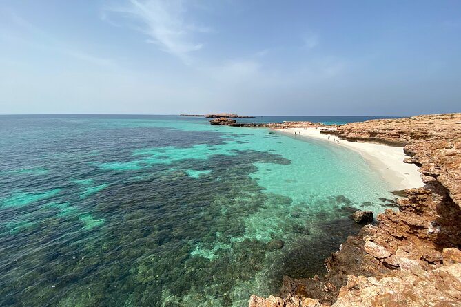 Snorkeling at Dimaniyat Islands and Dolphin Watching - Who should book this boat trip?