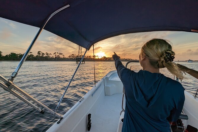 Snorkeling, Dolphin and Wildlife Sightings at St. Andrews Bay - What Captain Brittany adds to the experience