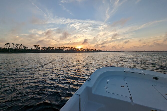 Snorkeling, Dolphin and Wildlife Sightings at St. Andrews Bay - Is $350 a fair price?