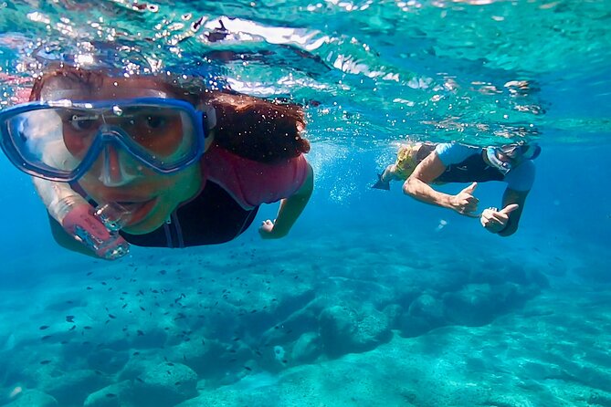 Snorkeling Experience to discover the dolphin inside you! - Key points to know before booking